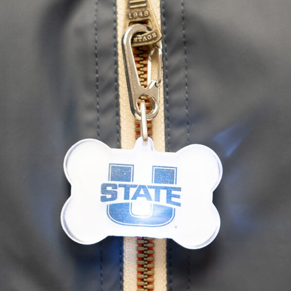 u-state bone zipper pull led light